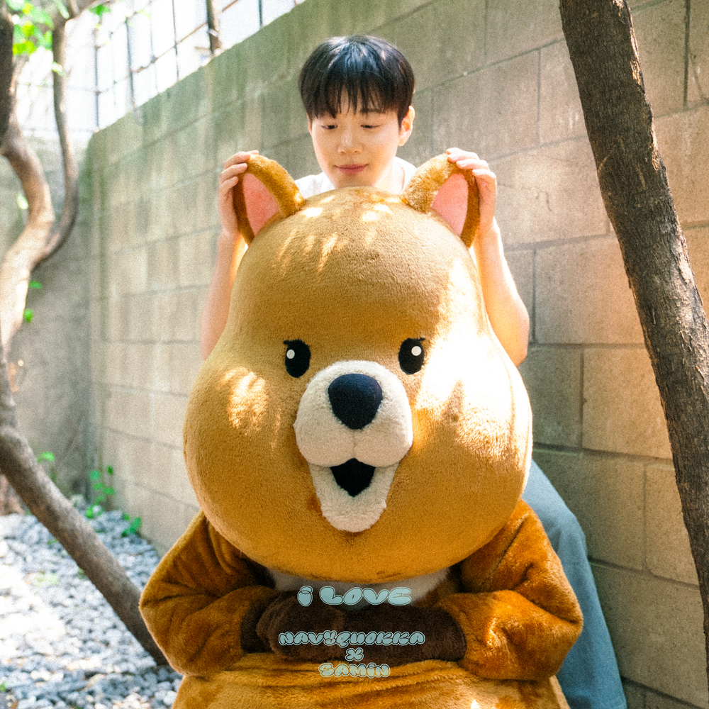 Image Cover